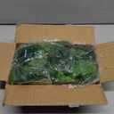 BLEUM CADE Fake Hanging Plants, 2pcs Artificial Pothos Vines Greenery for Wall Home Living Room Office Indoor Outdoor Decor (No Baskets)