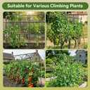 65"x48" Cucumber Trellis for Raised Bed, U-Shape Garden Trellis for Climbing Plants Outdoor, Metal Arch Vegetables Trellis, Detachable Cucumber Plant Support for Tomato,Squash