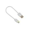 Short USB C Car Carplay Cable