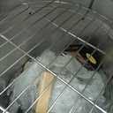 Barrel Smoker Grill Combo | 100% 304 Stainless Steel Barrel | 95% Less Smoke, Even Heat | Easy to Use & Clean  Vertical Smoker Ideal for Balconies and Backyards (MEDIUM-25 LBS)