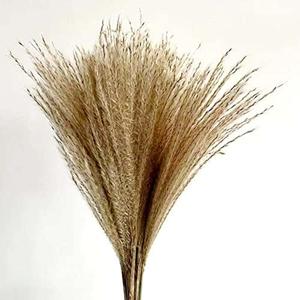 12 PCS Natural Pampas Grass Home Vase Filler Wedding Christmas Thanksgiving Garden Decorations Dried Reed Flower Bouquet