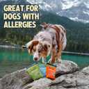 Jiminy's Chewy Cricket Dog Training Treats, Low Calorie, Hypoallergenic, Made in USA, 6oz, Variety Pack (Pack of 3)