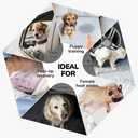 PUMYPOREITY Dog Diaper with Suspender, Escape-Proof Anti-Harassment Garment for Heat Cycle, Incontinence, Puppy Training, Senior Dog, M, Grey