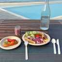 GreenWorks Heavy-duty Compostable Forks, BPI Certified 100 Count Large Disposable Cutlery Utensils Silverware Flatware Fork