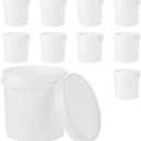 10 Pack Paint Buckets for Painting Empty Paint Cans Quart Plastic Paint Containers with Lids 2 Pint Plastic Paint Can 1/4 Gallon Paint Pail Small Paint Storage Containers for Leftover Paint