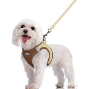 Rabbitgoo Dog Harness Small Sized and Leash Set, Step in Soft Light Puppy Vest, Breathable Mesh Pet Harness, Reflective for Safe Easy Walking, Brown & Beige, M