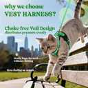 rabbitgoo Cat Harness and Leash for Walking, Escape Proof Soft Adjustable Vest Harnesses for Cats, Easy Control Breathable Reflective Strips Jacket, Grass Green,M