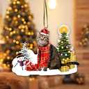 3 x American Shorthaired Technically Cat Ornament, Acrylic Christmas Tree Hanging, 2023 Funny Cat Lover Xmas Decoration