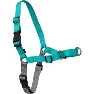 PetSafe Easy Walk No-Pull Dog Harness - Ultimate Harness to Help Stop Pulling - Pull-Free Walks - Take Control & Teach Better Leash Manners - Patented Martingale Loop Design - Teal, Large