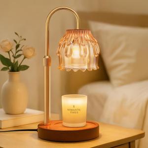 Candle Warmer Lamp with Timer Dimmer, House Warming Gifts New Home Room Decor, Wax Melt Warmer for Scented Wax Jar Candles, Birthday Gifts for Women Mom Her, Champagne