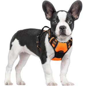 rabbitgoo Dog Harness No Pull with 2 Leash Clips, Adjustable Soft Padded, Reflective Oxford No Choke Pet Vest with Easy Control Handle for Small Dogs,Orange,S