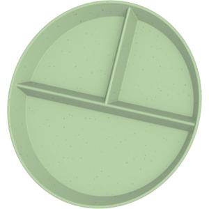 2 x 9" Portion Control Plate - Divided Dinner Plate with Dividers for Adults & Kids - BPA Free, Wheat Straw & PP Construction, Modern Style, Microwave, Dishwasher & Freezer Safe (Pack of 1, Mint Green)