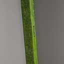 Hedge Trimmer Attachment fits for ego's Extension Pole Saw PSA1000 Powerhead, Trimmer Head PH1400 and Lithium-ion Multi Head System Replace NO. HTA2000 (Black)