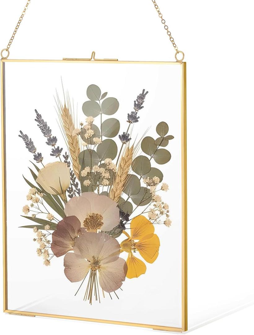 8x10 inch Double Glass Hanging Frame, Glass Pressed Flower Frames for Pressed Flower Clear DIY Vintage Artwork Display Frame with chain for Specimen, Certificate, Home Decor