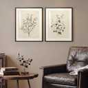 Framed Vintage Neutral Botanical Wall Art for Bedroom, 2 Piece 16x20 In, 16" W x 20" H x 2Pcs