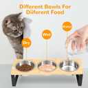 Elevated Cat Bowls with 3 Stainless Steel, 15 Tilted Raised Cat Bowl Set, for Indoor Cats for Small Cats and Puppies Pet Bowls with Stand