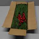 10 Pcs Christmas Norfolk Pine Stems with Red Berries,Real Touch Faux Cedar Norfolk Pine Branches,Fake Greenery Plants for Vase Table Centerpieces,DIY Crafts Picks Garland Wreath Home Christmas Decor