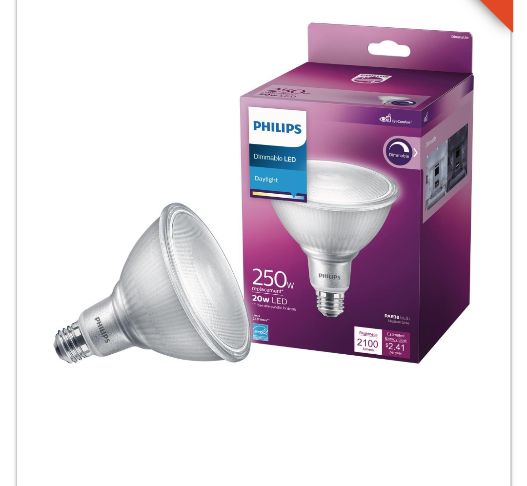 Philips High Output 250w Equivalent Daylight Par38 Medium Dimmable Led Floodlight Light Bulb