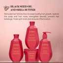 Saphira Dead Sea Minerals Shampoo  Sulfate Free Professional Hair Care  Hydrating & Nourishing Shampoo for All Hair Types (34 Fl Oz (Pack of 1))