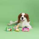 2 x Fringe Studio Plush Dog Toy, 3 Pieces Set, Egg-STRA Sweets, Petshop Collection (662100)