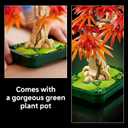 LEGO Botanicals Japanese Red Maple Bonsai Tree Building Kit for Adults 18+ - Unique Home Decor DIY for Room or Office - Housewarming Gift Idea for New Home - Plant Decor for Desk or Bookshelf- 10348