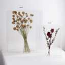16x20 Acrylic Shadow Box, Assemble Display Case, DIY Tabletop/Wall Mount Display Frame, All Clear Memory Box for Dried Flowers/Kids Room/Birthday/Wedding(16x20x3, Assemble Frame)