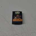 MASBRILL LED Dog Collar,Light Up Dog Collars Rechargeable Waterproof Night Walking Glow Dog Collar for Small Medium Large Dogs (S(15.75*0.98inch), Red)