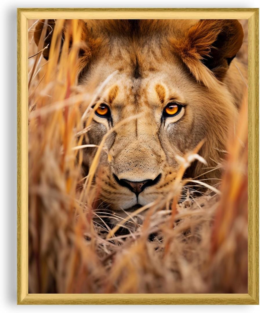 Art Shoppe Framed Print Wall Art, Vintage Wall Dcor for Living Room, Bedroom, Office, High-Resolution Image on Premium Art Paper, 3/4" Frame with Plexiglass Front, Ready to Hang, 17"x21" (Lion in Grass)