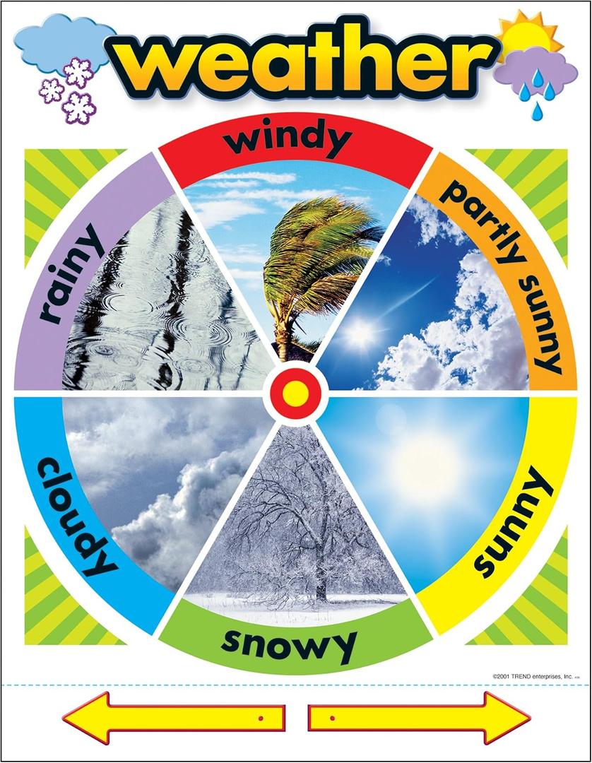 Trend Weather Learning Chart, Classroom Decor, 17" x 22"