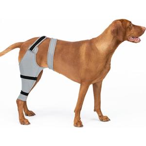 Sleeve for Dog Rear Leg to Stop Licking: Recovery Wrap After TPLO ACL Surgery, for Injured Back Legs, Alternative for Dog Cone for Leg Wounds (Grey)