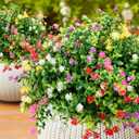 20 Bundles Outdoor UV Resistant Faux Flower Summer DecorArtificial Flowers Fake Outdoor Plants for Garden, Patio, Porch, Home Dcor (5 Colors)