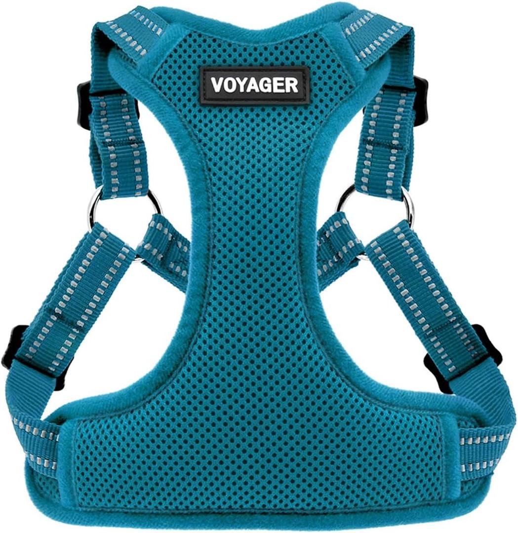 Best Pet Supplies Voyager Adjustable Dog Vest Harness Breathable No Pull Harness for Small, Medium, Large Dogs, Harness for Walking, Jogging, Easy Step-in, Reflective Stripes - Turquoise, L (L (Chest: 20 - 25"), Harness (Turquoise))