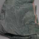 Bedsure Waterproof Dog Blankets for Extra Large Dogs - XL Cat Blanket Washable for Couch Protection, Sherpa Fleece Puppy Blanket, Soft Plush Reversible Throw Furniture Protector, 56x72, Light Green