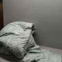 Bedsure Queen Comforter Set - Sage Green Bed Set, 3 Pieces Cute Floral Bedding, 1 Soft Reversible Botanical Flowers Comforter and 2 Pillow Shams