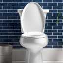 Bemis Aurora Slow Close Toilet Seat, Easy Clean Hinges and Adjustable Perfect Fit Plastic Seat, Made in USA, Elongated, Almond