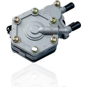 Fuel Pump Compatible with Polaris Sportsman 325 400 500 600 700 Magnum 325 330 500 Outlaw 450 500 525 Predator Scrambler 500 Trail Boss Trail Blazer 330 Xpedition 325 425 OEM 2520227