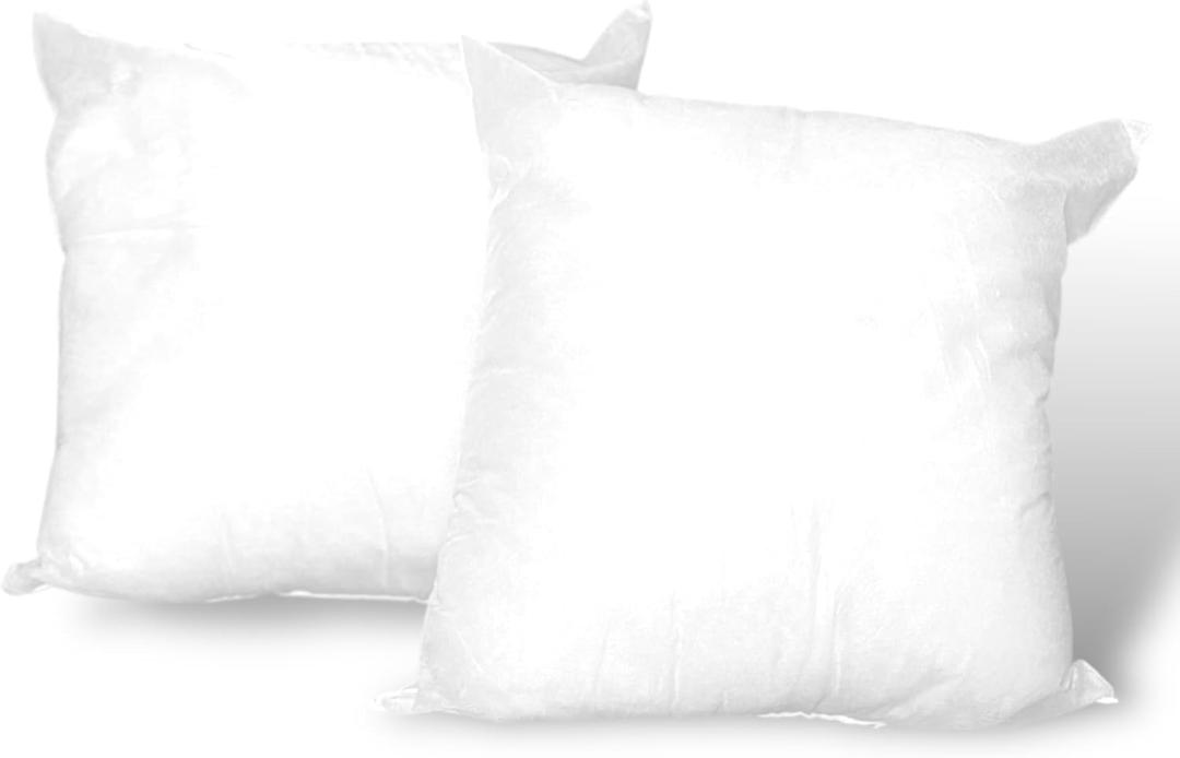 Co. Luxury Fill Throw Pillow Inserts | Decorative Square | Premium Fluffy Pillow Forms Sham Stuffer for Sofa, Couch, and Living Room | Pack of 2 (20 X 20)