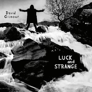 Luck and Strange by David Gilmour, Vinyl