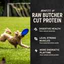 Vital Essentials Freeze Dried Dog Treats | Beef Liver, Single Ingredient | Premium Quality | Grain Free Training Treats for Dogs, 2.1 oz Bag