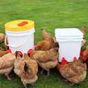 Chicken Feeder No Waste Automatic Poultry Feeder DIY Chicken Feeders and Waterer Set 6 Chicken Feeders Ports Auto Chicken Feeder Kit