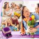 Beferr Birthday Gifts for Women Preserved Real Rose with Necklace Eternal Purple Roses Forever Flowers for Delivery Anniversary Mothers Day Flower Gifts for Mom Wife Grandma Daughter Her Girlfriend
