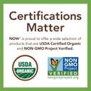 NOW Foods, Organic Pumpkin Seeds, Raw and Unsalted, Excellent Source of Protein and Iron, Certified Non-GMO, Keto-Friendly Snack, 12-Ounce (Packaging May Vary) (EXP 06/30/26)