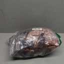 Spooktacular Creations T-Rex Inflatable Costume for Kids, Funny Air Blow Up Costumes, Digital Printing Ride-On Dinosaur for Halloween Parties, (Brown S)