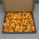 50 Pcs Easter Radish Rabbit Pull Back Toy Car Easter Egg Carrot Pull Back Car Cute Plastic Bunny Party Favors Mini Easter Egg Fillers Cars for Birthday Gifts Basket Stuffers Prizes