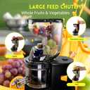 Cold Press Juicer Machines Slow Masticating High Yield Pulp separation Can make fruit ice cream Multi-Functional for Home Commercial Use Wide Feed Chute (Black)