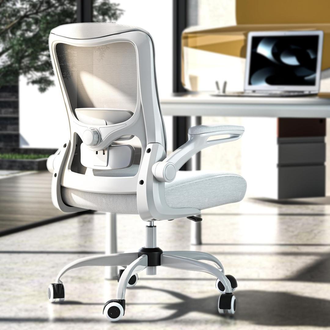 Ergonomic Office Chair - High Back Desk Chair with Adjustable Lumbar Support, Breathable Mesh Back, 330LBS Capacity, Easy Assembly, for Home Office Executive Computer Task, 21.65 inches x 20.07 inches x 42.52 inches