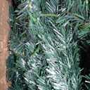 Hinged Christmas Tree with Lights