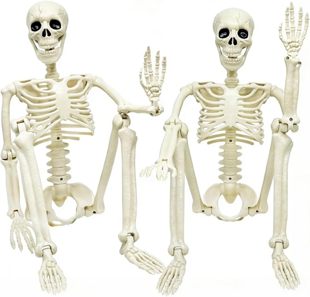2 x CAMIRUS 2PACK 36" Skeleton Halloween Decorations, 3ft Life Full Size Skeleton with Realistic Posable Movable Joints for Halloween Haunted Houses, Lawn, Graveyard