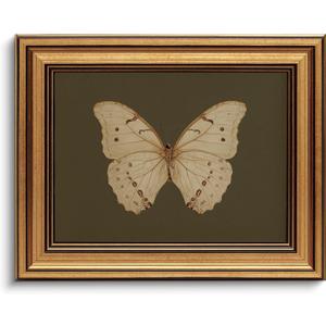 Gold Framed Wall Art Vintage Butterfly Canvas Wall Art White Butterfly Moody Insect Artwork Prints Picture for Living Room Bedroom Farmhouse Bathroom Office Decor, 8x10