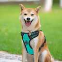 PoyPet No Pull Dog Harness, Reflective Comfortable Vest Harness with Front & Back 2 Leash Attachments and Easy Control Handle Adjustable Soft Padded Pet Vest for Small to Large Dogs (Mint Blue,S)